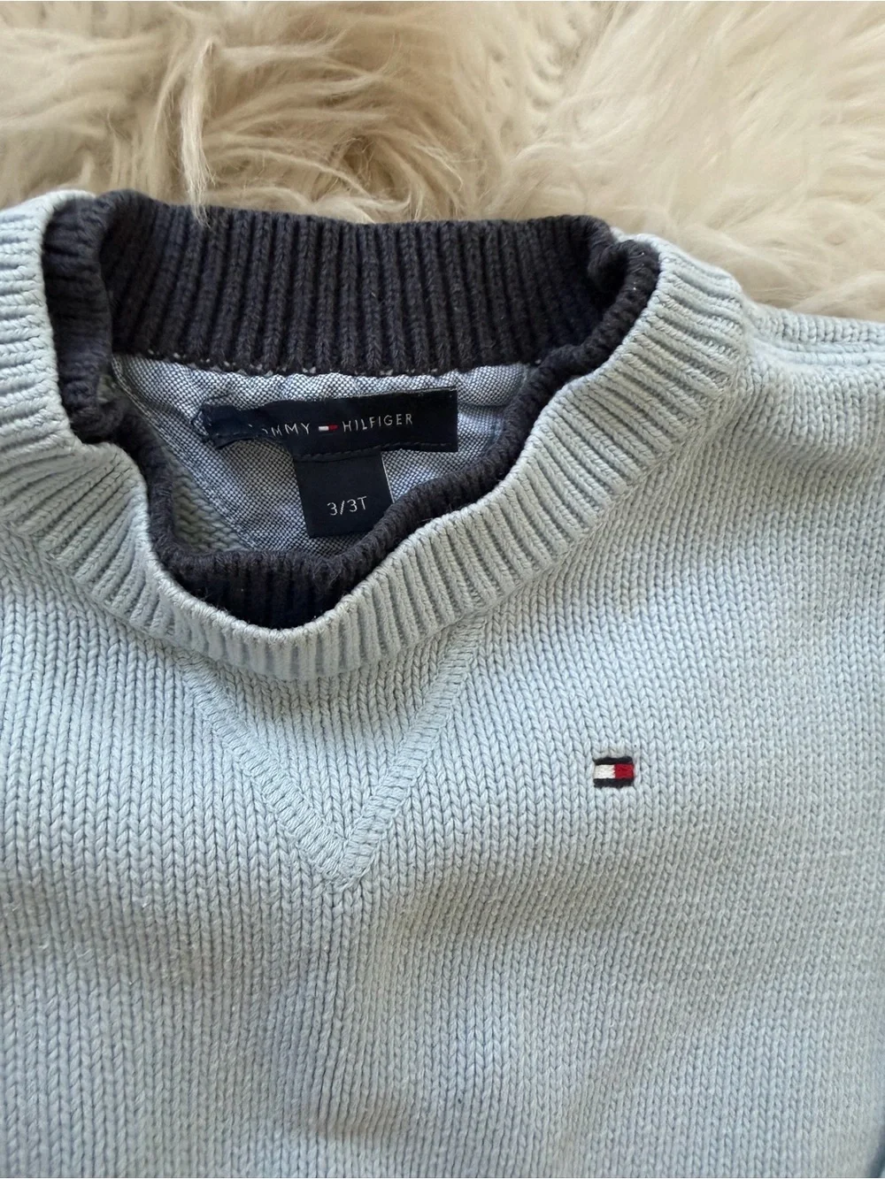 Tommy Hilfiger Pale Blue Crewneck Sweater